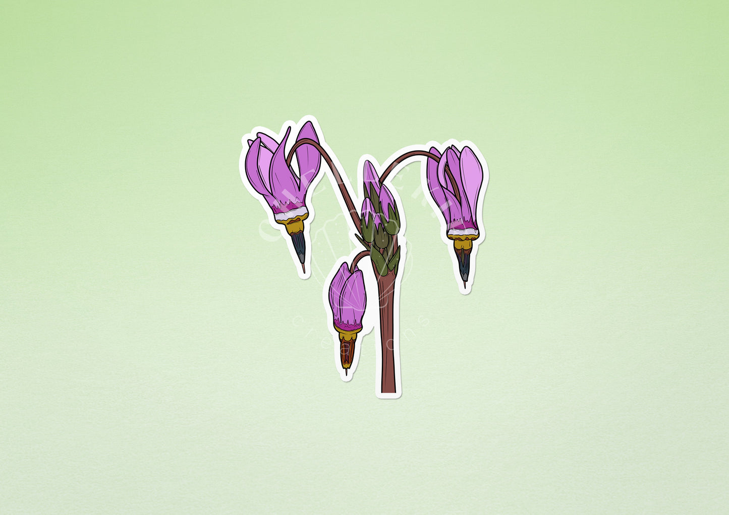 Vancouver Island Wildflowers Vinyl Sticker Set - Chellekie Creations