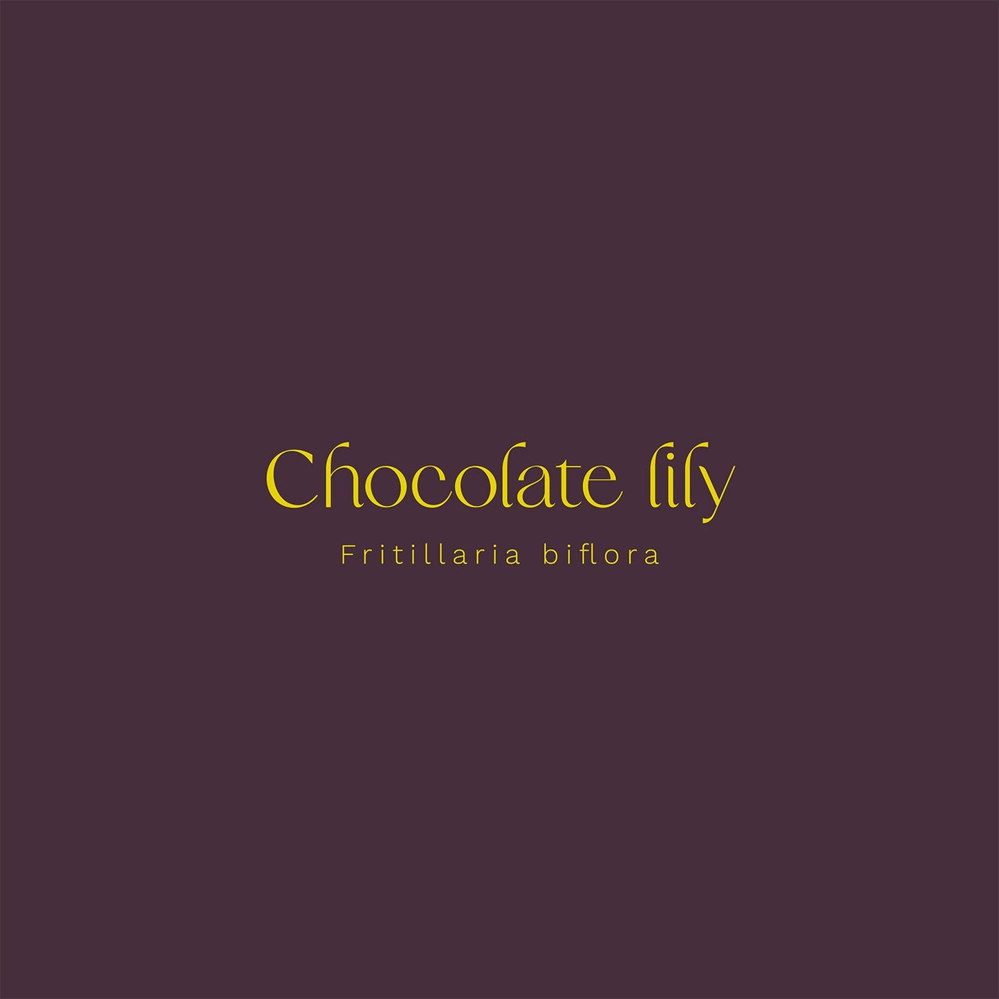 Chocolate Lily (Fritillaria biflora) Vinyl Sticker - Chellekie Creations