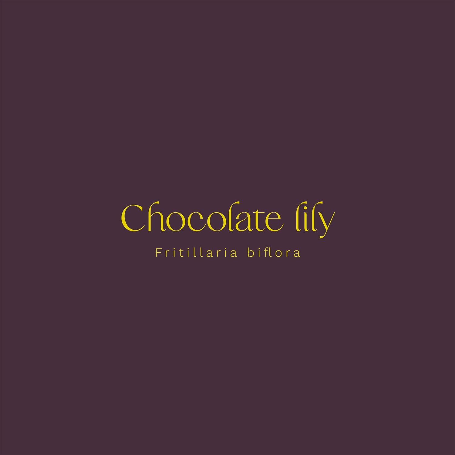 Chocolate Lily (Fritillaria biflora) Vinyl Sticker - Chellekie Creations