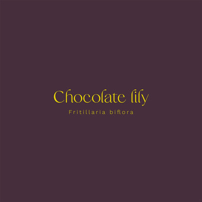 Chocolate Lily (Fritillaria biflora) Vinyl Sticker - Chellekie Creations