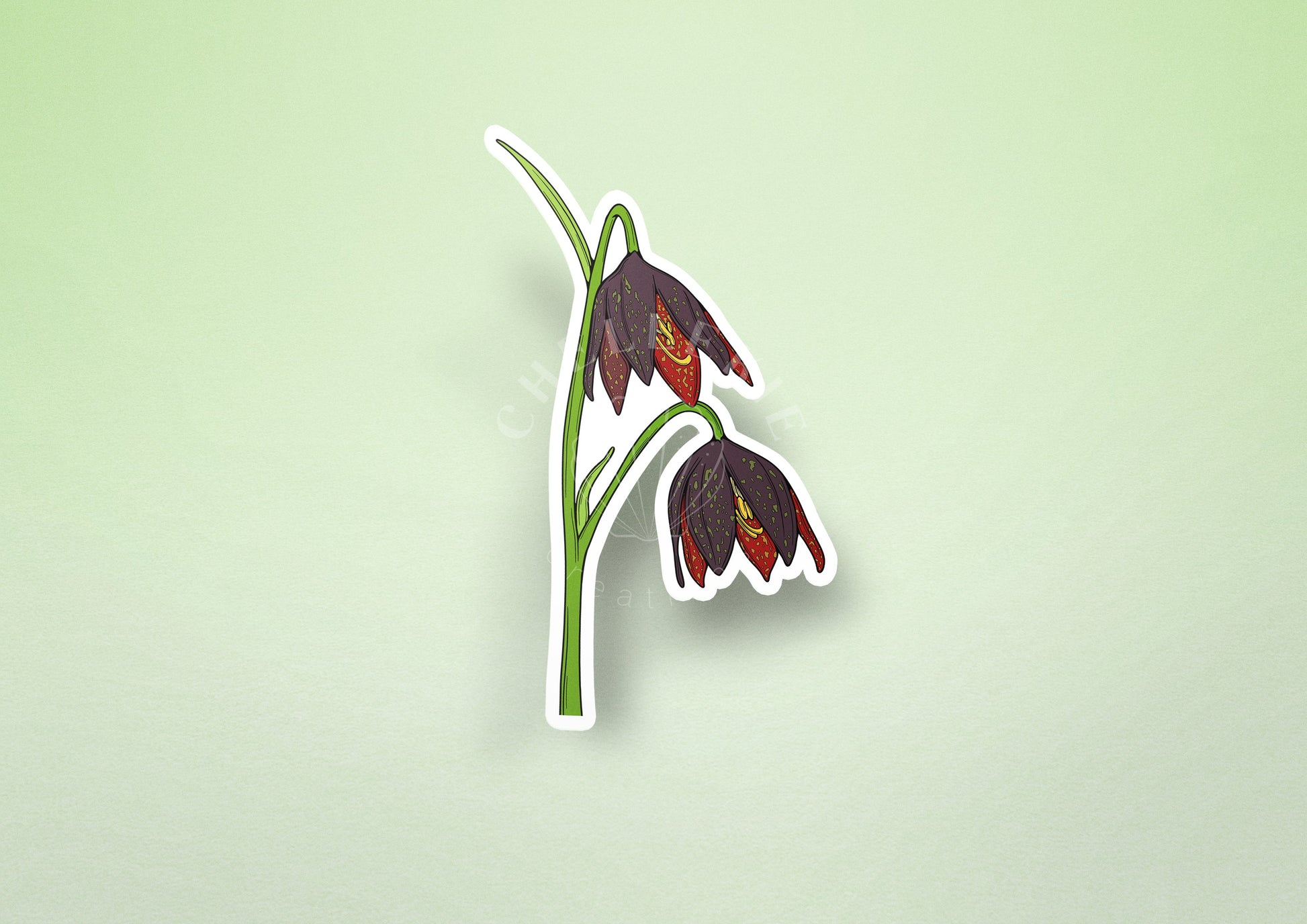 Chocolate Lily (Fritillaria biflora) Vinyl Sticker - Chellekie Creations