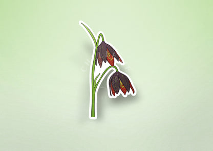 Chocolate Lily (Fritillaria biflora) Vinyl Sticker - Chellekie Creations