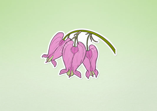 Pacific Bleeding Heart (Dicentra formosa) Vinyl Sticker - Chellekie Creations