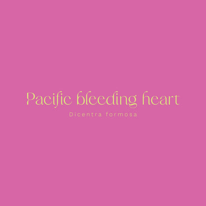 Pacific Bleeding Heart (Dicentra formosa) Vinyl Sticker - Chellekie Creations