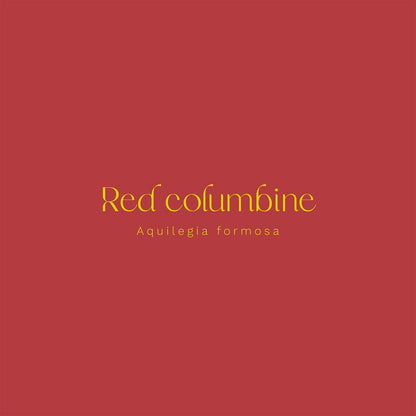 Red Columbine (Aquilegia formosa) Vinyl Sticker - Chellekie Creations