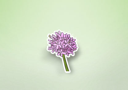 Shortspur Seablush (Plectritis congesta) Vinyl Sticker - Chellekie Creations