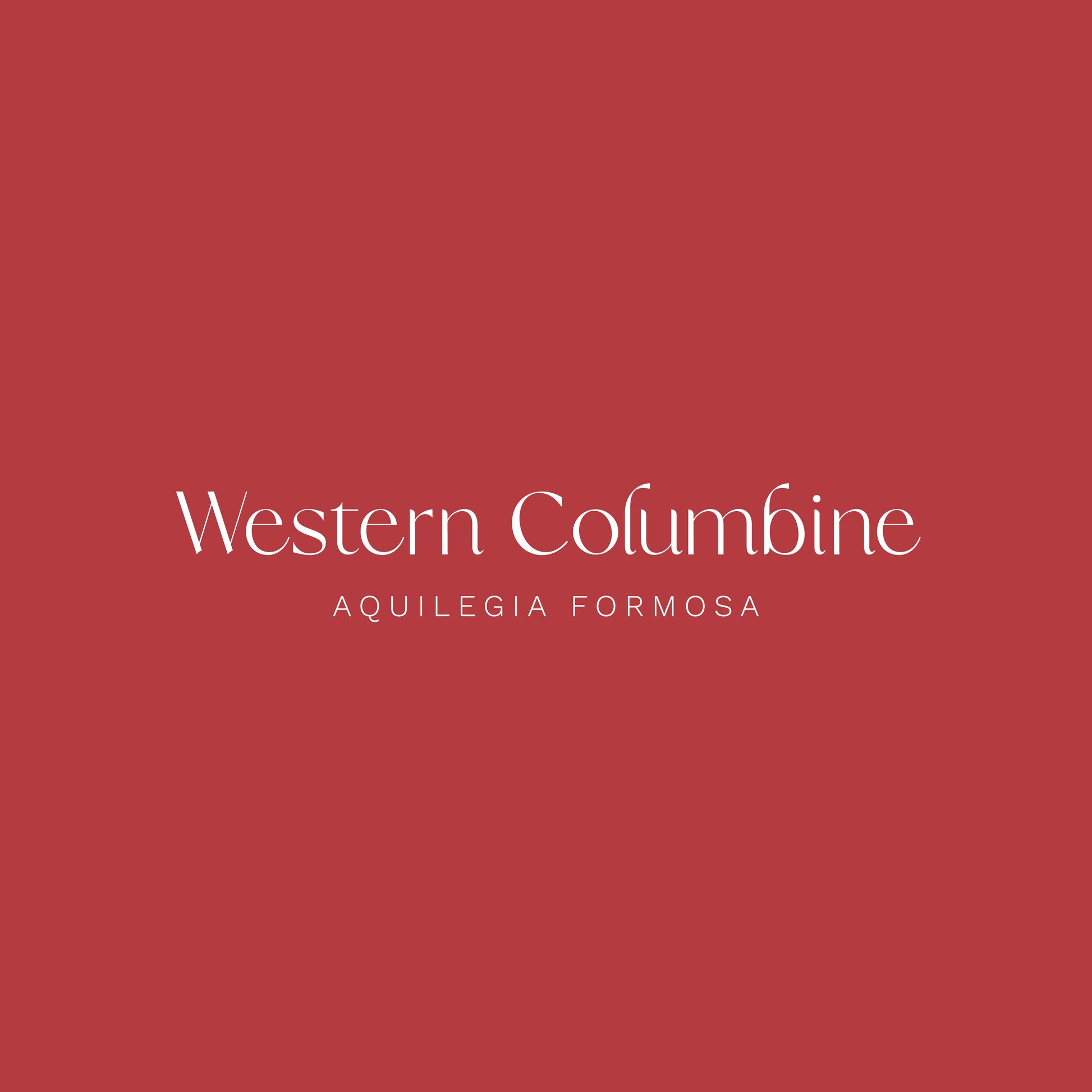 Western Columbine Flower 1.5" Pinback Button - Chellekie Creations