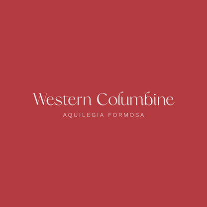 Western Columbine Flower 1.5" Pinback Button - Chellekie Creations