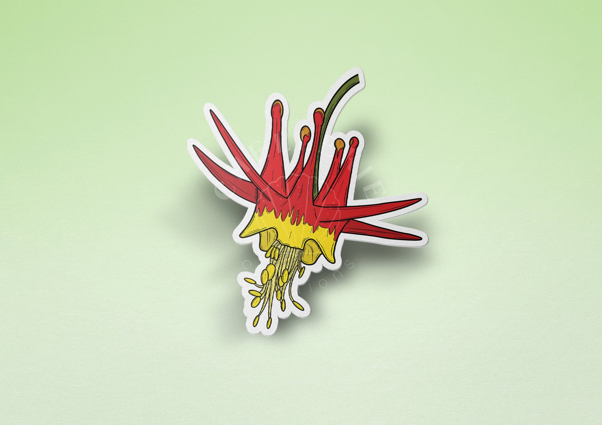 Western Columbine Vinyl Sticker - Chellekie Creations