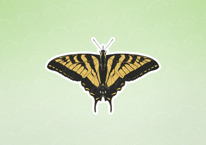 Western Tiger Swallowtail Butterfly Sticker - Chellekie Creations