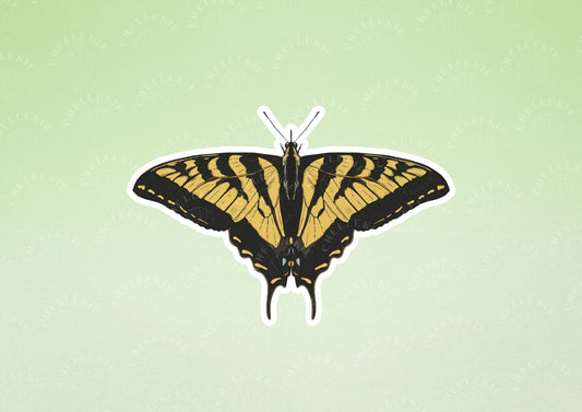 Western Tiger Swallowtail Butterfly Sticker - Chellekie Creations