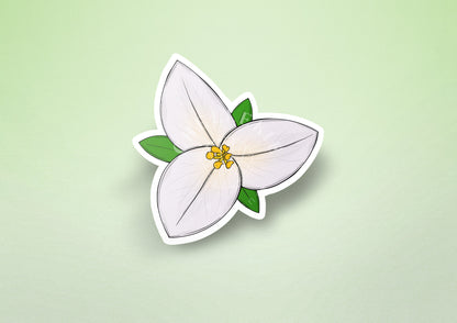 Western Trillium (Trillium ovatum) Vinyl Sticker - Chellekie Creations